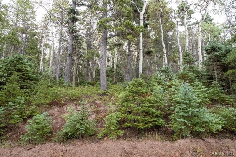Lot 2260 Speciale Pl Lot 2260, Fort Garland, CO 81133