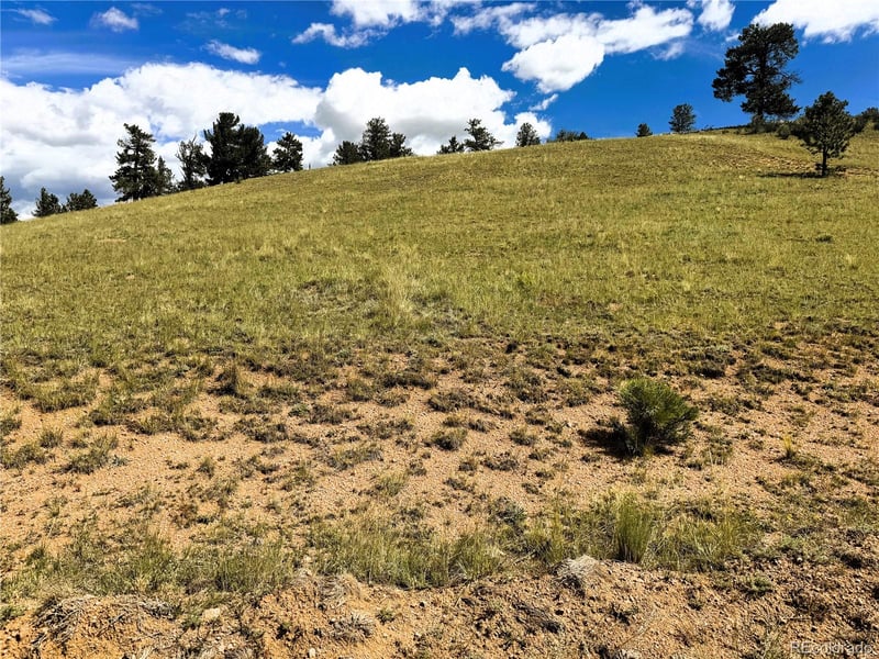 2669 Settele Dr Lot 05, Hartsel, CO 80449