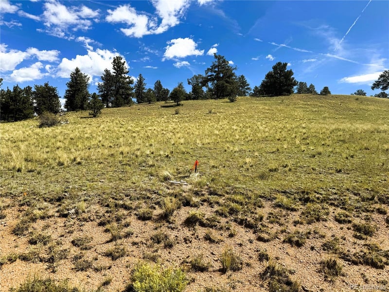 2669 Settele Dr Lot 05, Hartsel, CO 80449