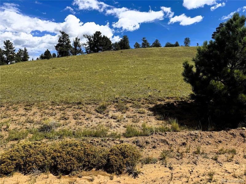 2669 Settele Dr Lot 05, Hartsel, CO 80449