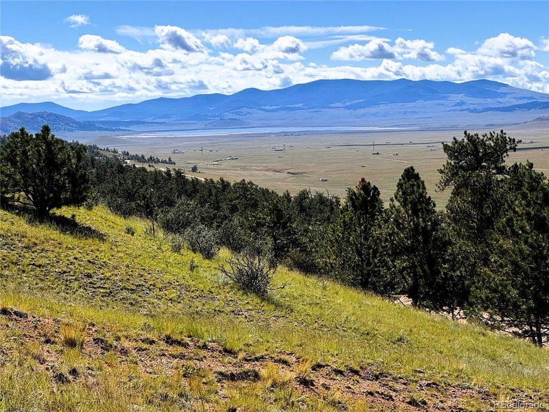 2669 Settele Dr Lot 05, Hartsel, CO 80449