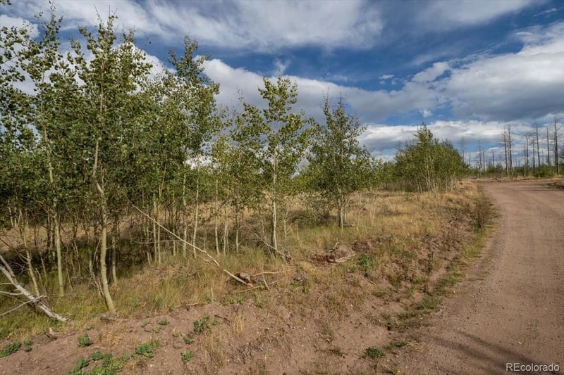 Lot 1316 Biaggini Ln Lot 1316, Fort Garland, CO 81133
