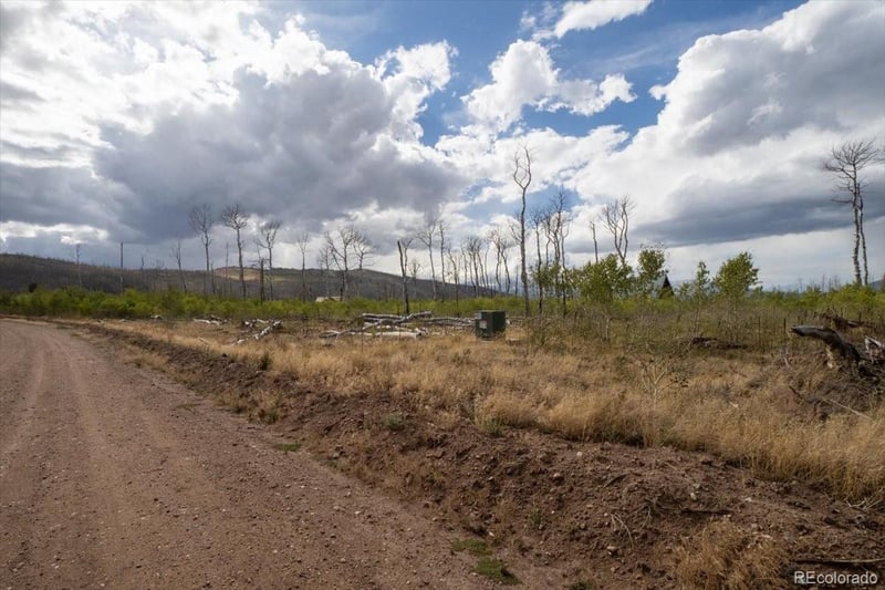 Lot 1316 Biaggini Ln Lot 1316, Fort Garland, CO 81133