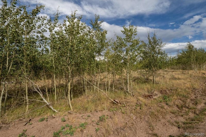 Lot 1316 Biaggini Ln Lot 1316, Fort Garland, CO 81133