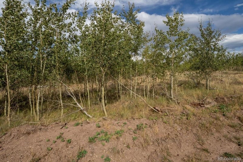 Lot 1316 Biaggini Ln Lot 1316, Fort Garland, CO 81133
