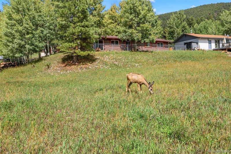1035 Park Vw, Woodland Park, CO 80863