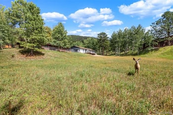 1035 Park Vw, Woodland Park, CO 80863