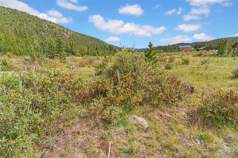 Lot 43 & 44 Silver Creek Rd Lot 43 & 44, Idaho Springs, CO 80452