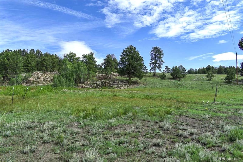 32 Peak Dr, Guffey, CO 80820