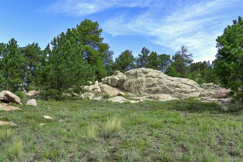 32 Peak Dr, Guffey, CO 80820