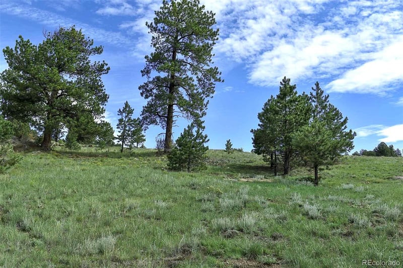 32 Peak Dr, Guffey, CO 80820