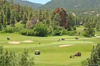 6820 Pike Pl, Larkspur, CO 80118