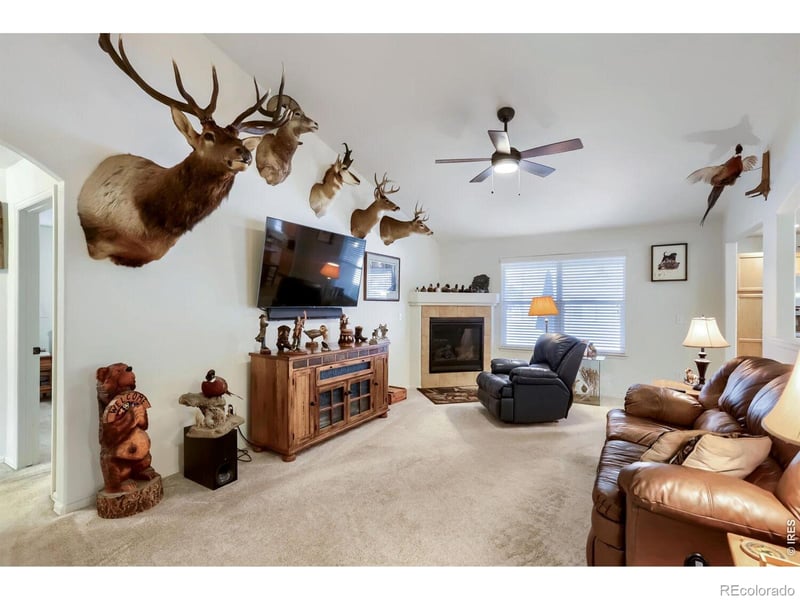 3432 Curlew Dr, Berthoud, CO 80513