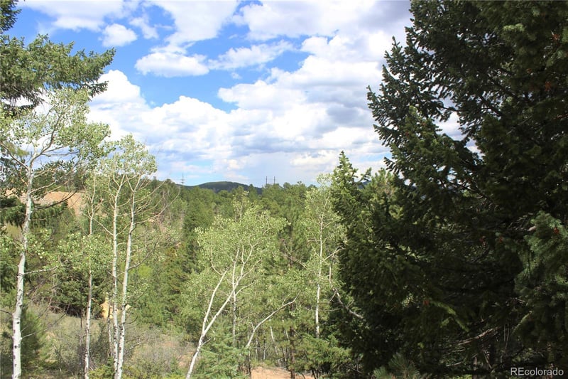 01 Golconda Mine Rd Lot 1020, 6146, Central City, CO 80427