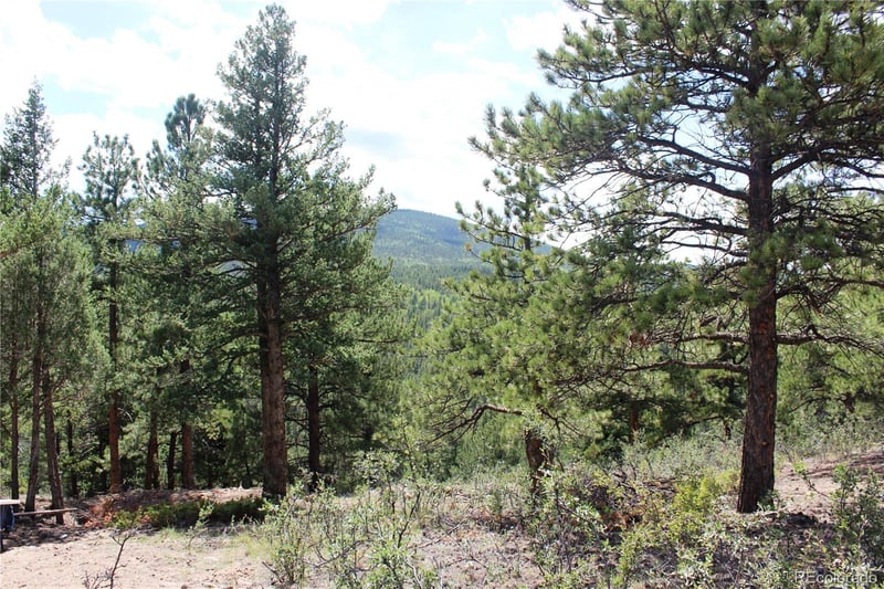 01 Golconda Mine Rd Lot 1020, 6146, Central City, CO 80427