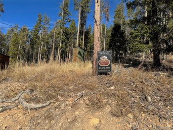 Pleasant Park Rd, Conifer, CO 80433
