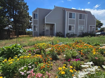 12056 E 25th Ave, Aurora, CO 80010