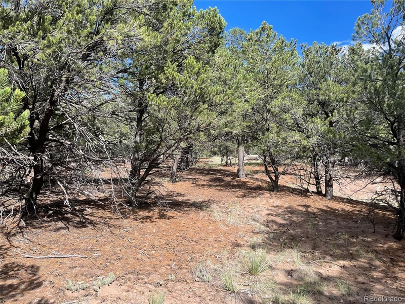 576 Panorama, Crestone, CO 81131