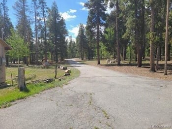 757 Thompson Park Rd, Fairplay, CO 80440