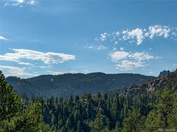 Tbd Cathedral Trl, Conifer, CO 80433