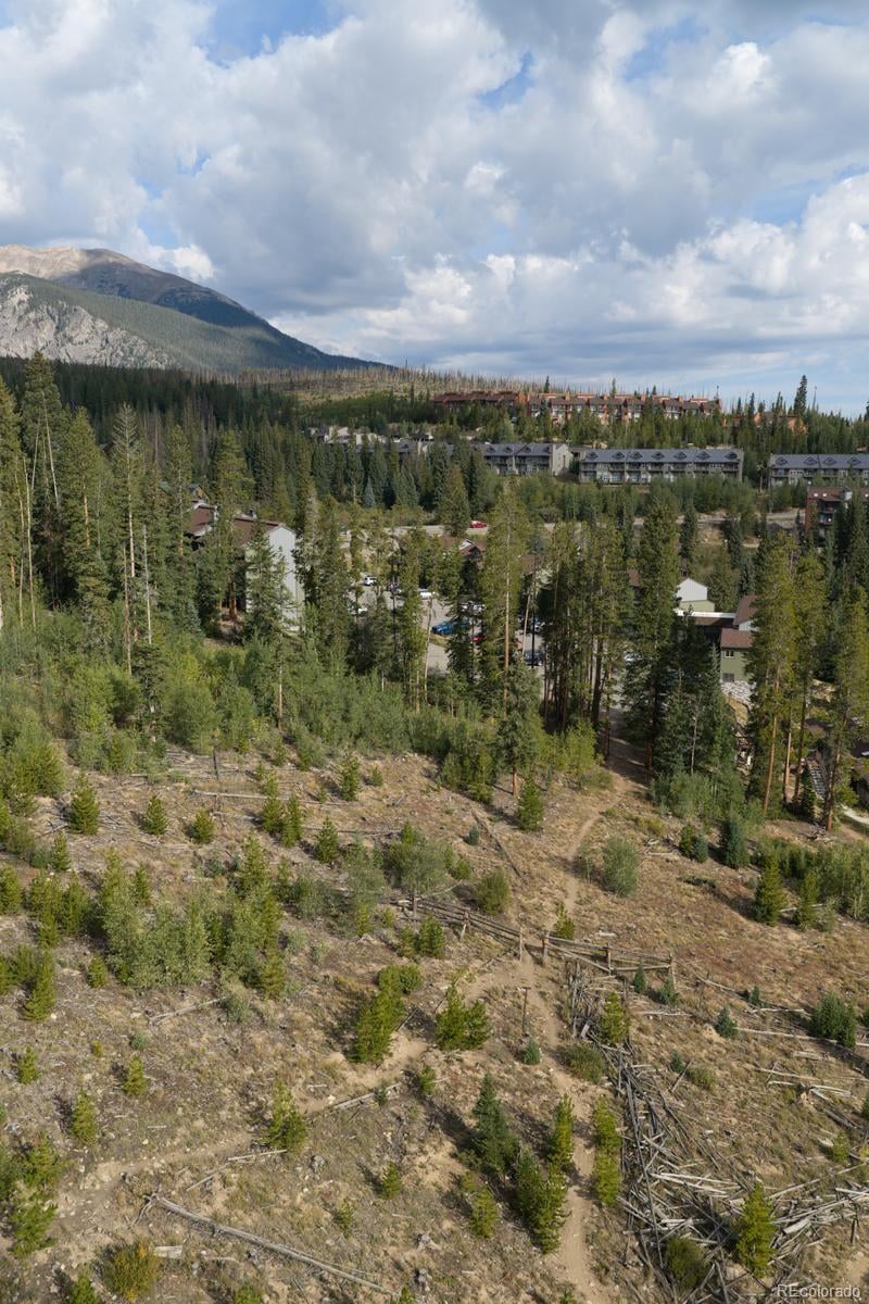 10000 Ryan Gulch Rd #312, Silverthorne, CO 80498