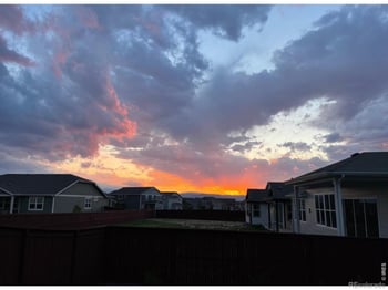 1746 Abundance Dr, Windsor, CO 80550