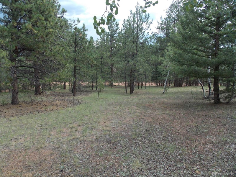 738 Black Mesa Cir, Florissant, CO 80816
