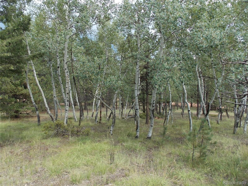 738 Black Mesa Cir, Florissant, CO 80816
