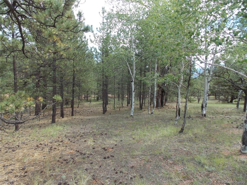 738 Black Mesa Cir, Florissant, CO 80816