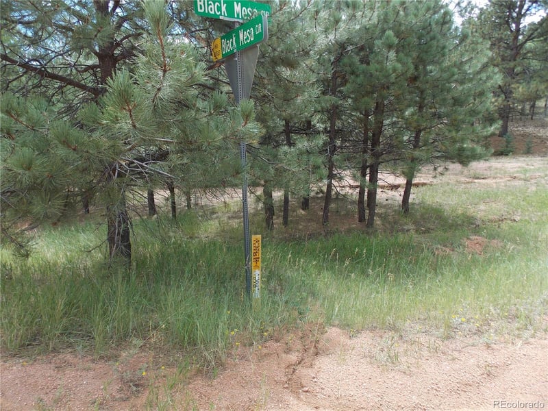 738 Black Mesa Cir, Florissant, CO 80816