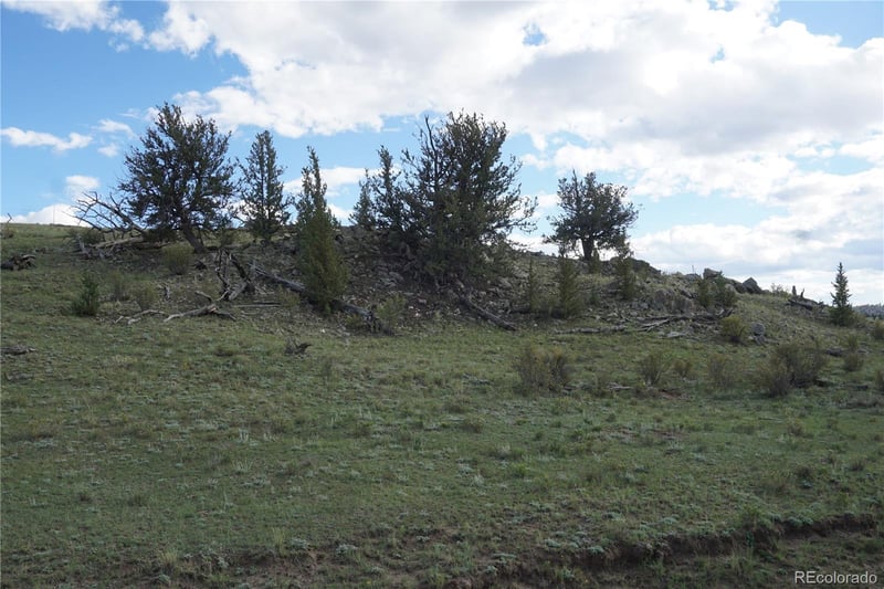 1022 Walls St, Hartsel, CO 80449