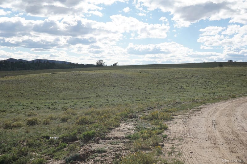 1022 Walls St, Hartsel, CO 80449