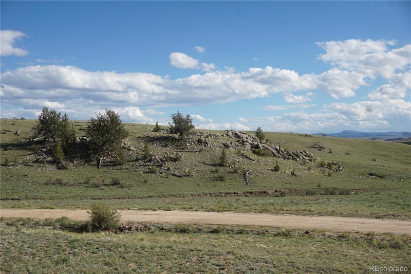 1022 Walls St, Hartsel, CO 80449