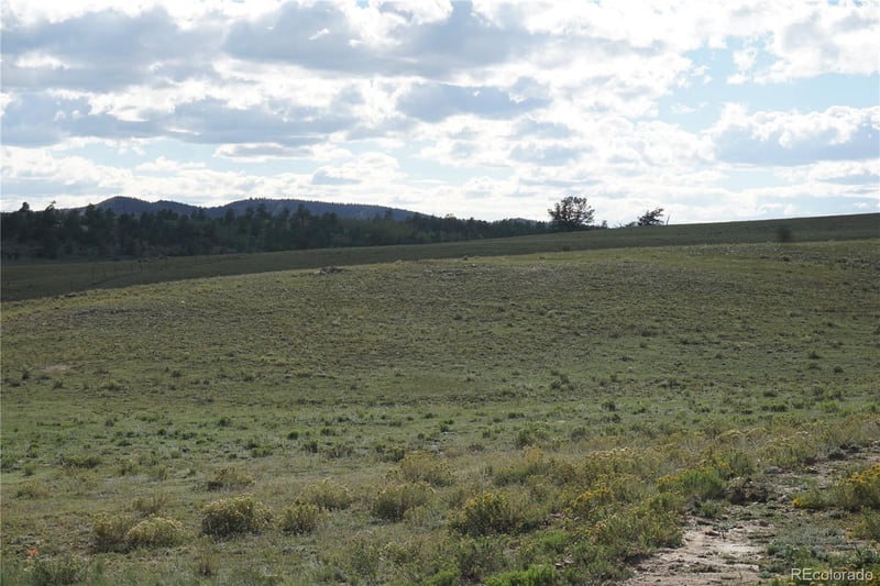 1022 Walls St, Hartsel, CO 80449