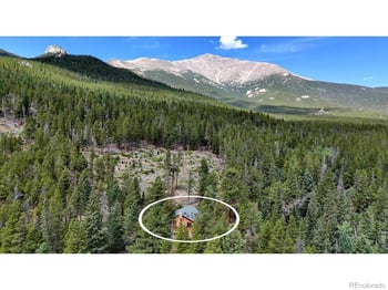 628 County Road 113s, Allenspark, CO 80540