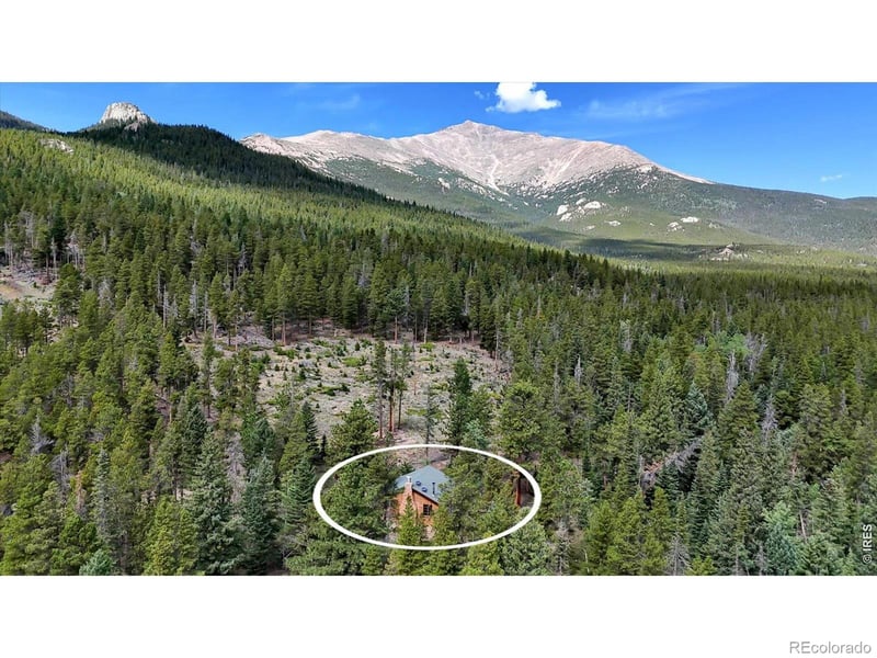 628 County Road 113s, Allenspark, CO 80540