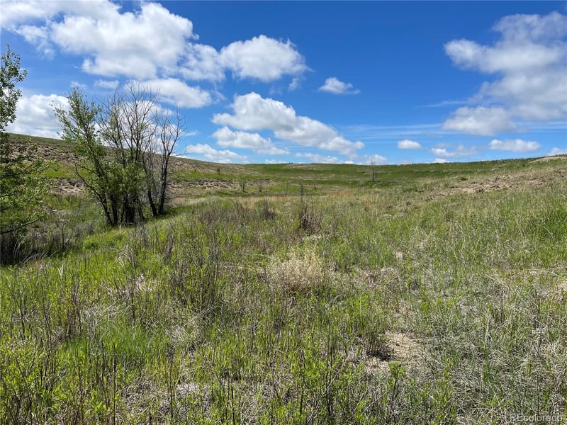 Peyton Hw, Peyton, CO 80831