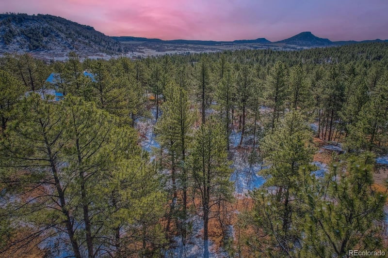 665 Copper Fox Pl, Larkspur, CO 80118