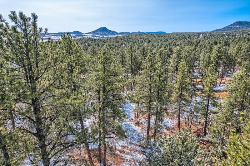 665 Copper Fox Pl, Larkspur, CO 80118