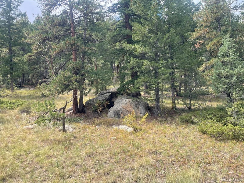 Cedar Dr Lot 26, Lyons, CO 80540