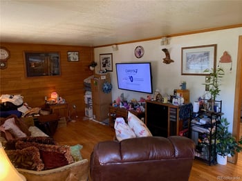 493 Cascade Cir, Silverthorne, CO 80498