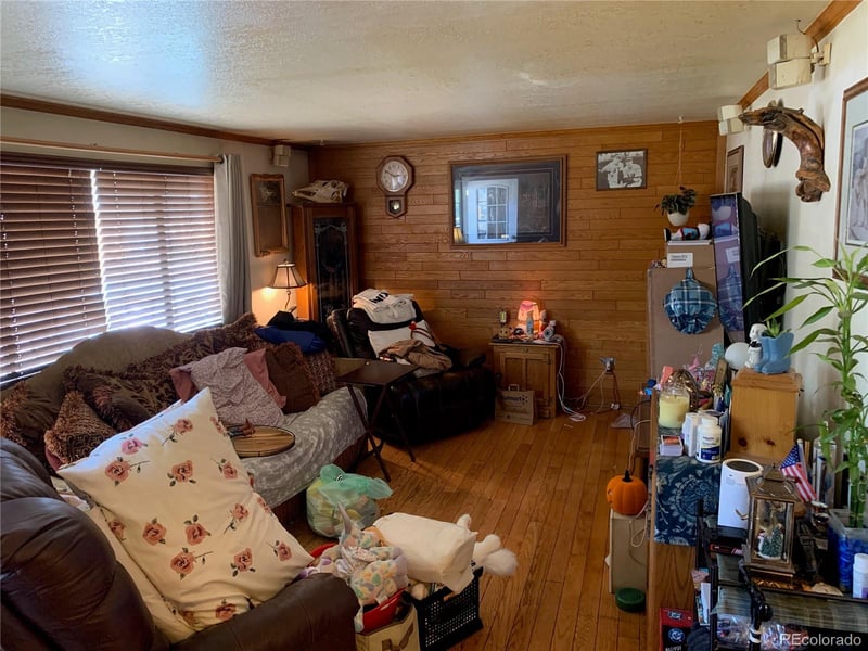 493 Cascade Cir, Silverthorne, CO 80498