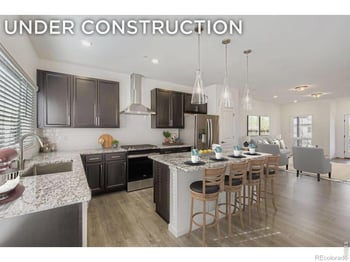 1002 Schlagel St #4, Fort Collins, CO 80524
