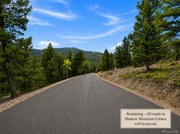 31084 Forest Shadow Trl, Conifer, CO 80433