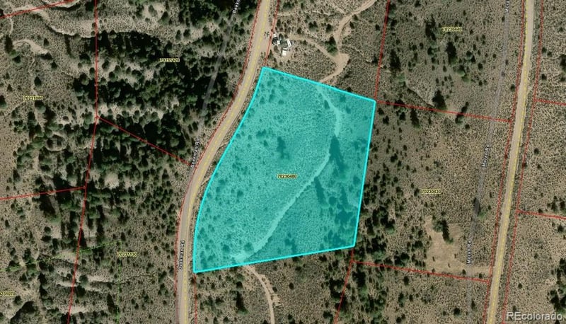 LOT 4546 Beekman Rd, Fort Garland, CO 81133