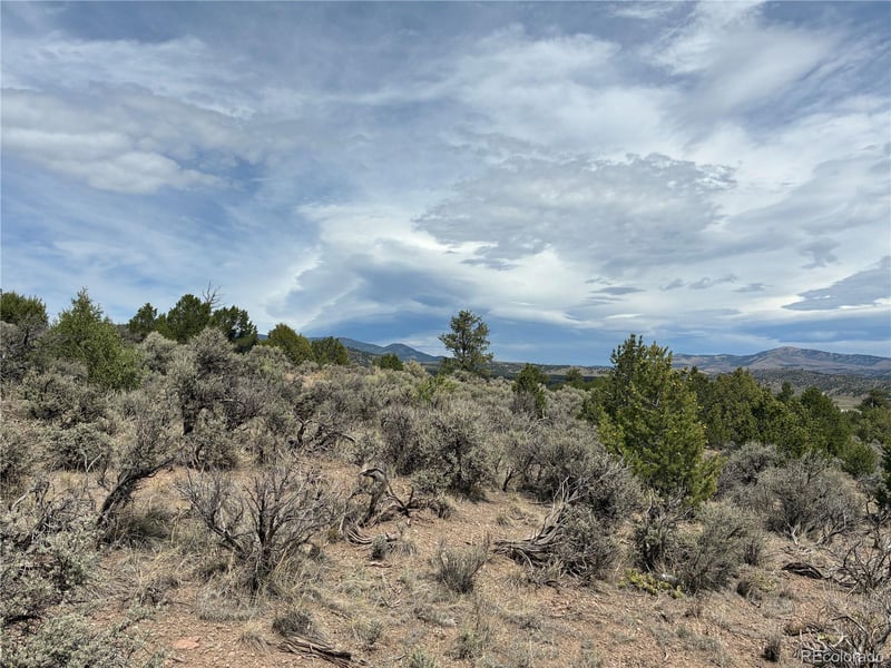 LOT 4546 Beekman Rd, Fort Garland, CO 81133