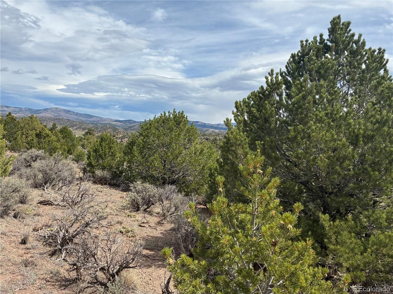LOT 4546 Beekman Rd, Fort Garland, CO 81133
