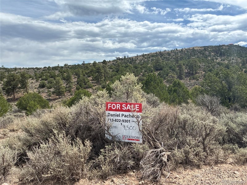LOT 4546 Beekman Rd, Fort Garland, CO 81133