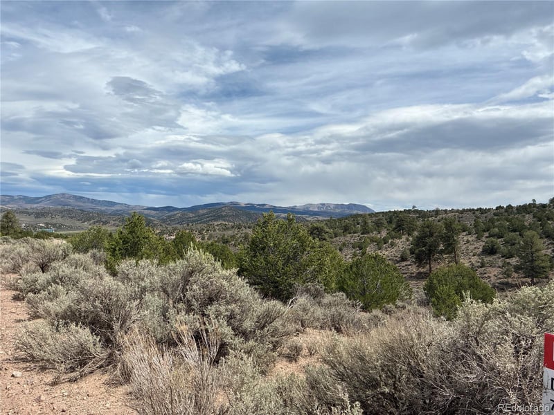 LOT 4546 Beekman Rd, Fort Garland, CO 81133