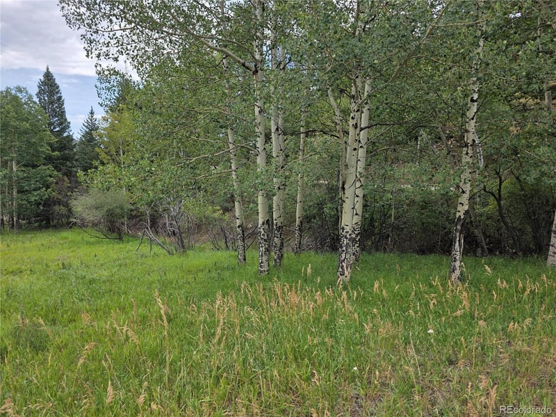 0 Hyland Dr, Evergreen, CO 80439